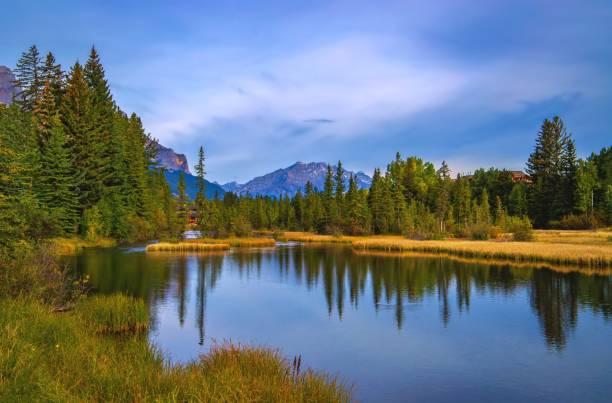 istock Blue Sky Over A Canmore Mountain Park 1346264067