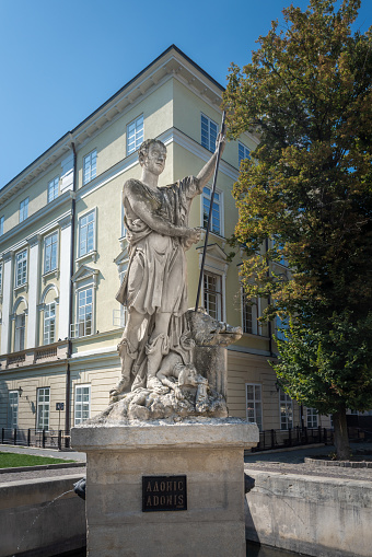 Adonis Fountain in Rynok Square - built around 1810 - Lviv, Ukraine