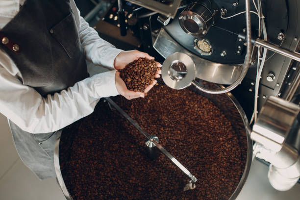 istock Coffee cooling in roaster machine at coffee roasting process. Young woman worker barista Mixing and hold coffee beans in hands. 1346264803