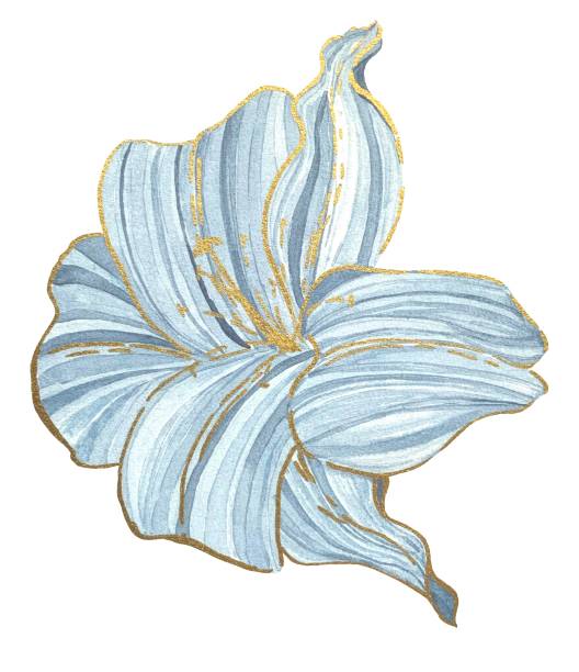 istock Decorative lily flower, blue watercolor stripes with a golden outline on a white background 1346265237