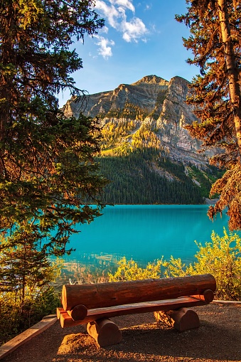 A view of a bench looking out over Lake Louise and framed by fall trees.