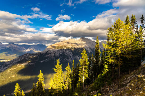 istock Bow Valley in Banff national park 1346268067