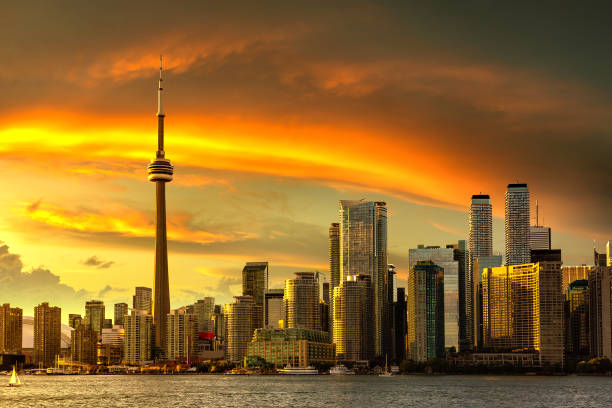 горизонт торонто на закате, канада - toronto skyline cn tower night стоковые фото и изображения