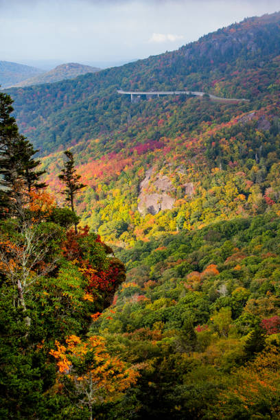 istock Autumn sunrise views along the Blue Ridge Parkway 1346268962