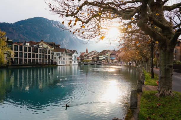 hermosa vista otoñal del río aare e interseen - interlaken, suiza - interlaken switzerland aare river house fotografías e imágenes de stock