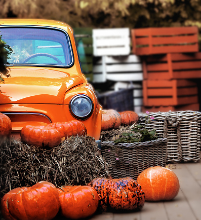An orange retro car next to pumpkins, hay and colorful wooden boxes on an autumn day. Orange autumn background.Halloween. Thanksgiving day.