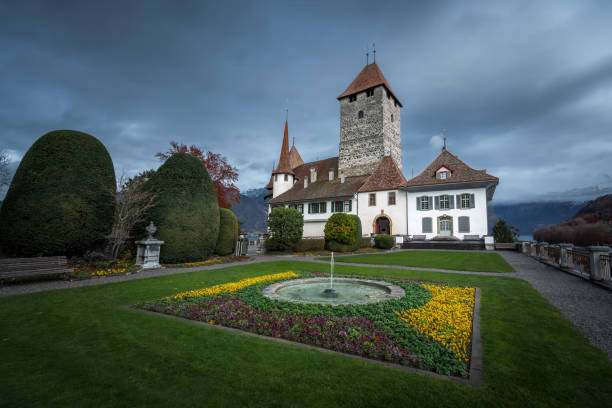 замок шпиц (schloss spiez) - шпиц, швейцария - lake thun switzerland night lake стоковые фото и изображения