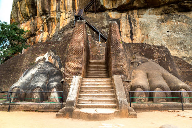 istock Lions Paw Rock at Lion Rock 1346273594