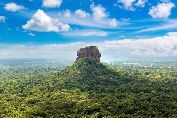 istock Lion Rock in Sigiriya, Sri Lanka 1346273623