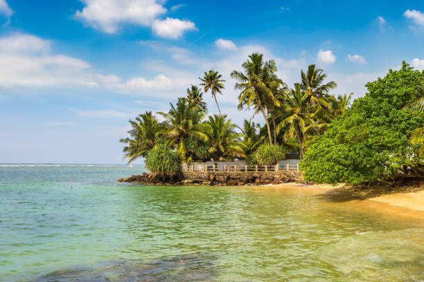 istock Beach in Sri Lanka 1346275535