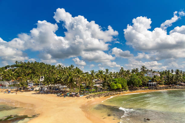 istock Mirissa Beach in Sri Lanka 1346275626