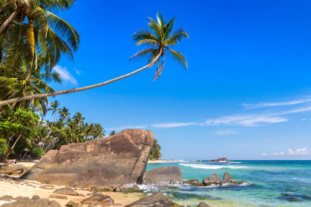 istock Dalawella Beach in  Sri Lanka 1346276400