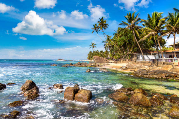 istock Dalawella Beach in  Sri Lanka 1346276463