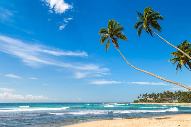 istock Dalawella Beach in  Sri Lanka 1346276467