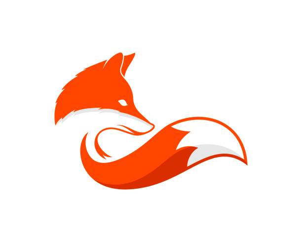 Luxury fox with orange and white colors Luxury fox with orange and white colors fox stock illustrations