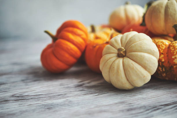 Pumpkin Collection on Rustic White Wood for Fall and Thanksgiving