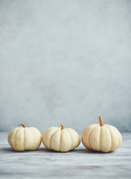 istock Three White Pumpkins on Rustic White Wood for Fall and Thanksgiving 1346279189