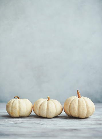 Three White Pumpkins on Rustic White Wood for Fall and Thanksgiving