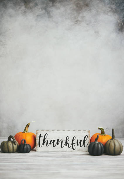 Thankful Message for Thanksgiving with Small Pumpkins in Gray Setting