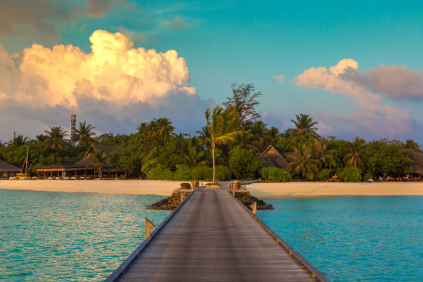 istock Sunset at tropical island 1346282668