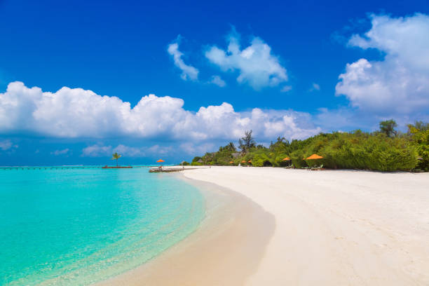 istock Tropical beach in the Maldives 1346282718