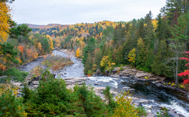 istock Waterfall Regional Park, Sainte-Beatrix, Quebec, Canada 1346283437