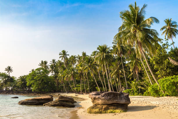 istock Tropical beach in a sunny day 1346284639