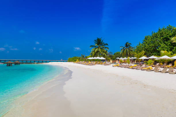 istock Tropical beach in the Maldives 1346286050