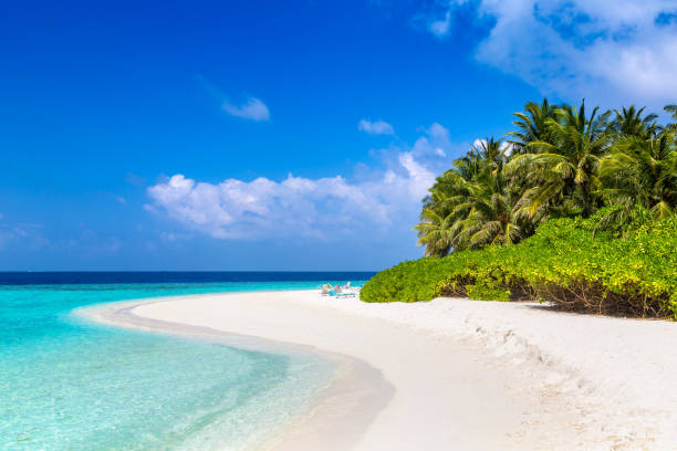 istock Tropical beach in the Maldives 1346286216