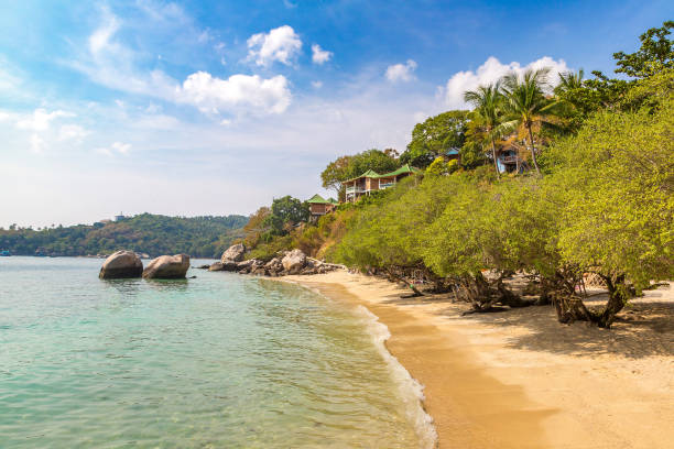 istock Taa Toh beach at Koh Tao island 1346286404