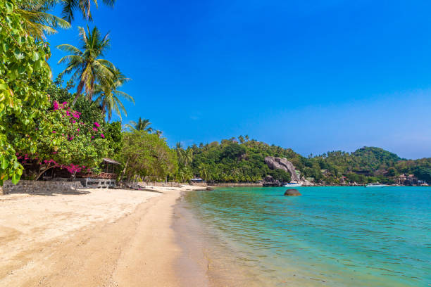 istock Taa Toh beach at Koh Tao island 1346286938