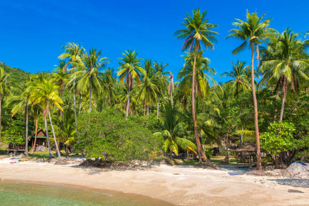 istock Sai Nuan beach at Koh Tao island 1346287185