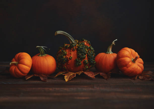 istock Pumpkin Arrangement for Thanksgiving and Fall 1346288152