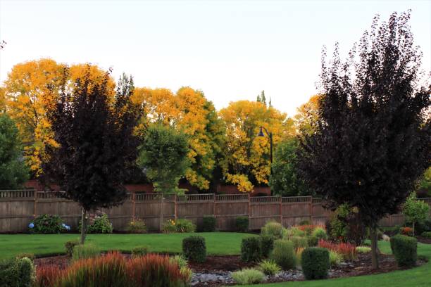 istock Beautiful colored trees in autumn 1346294870