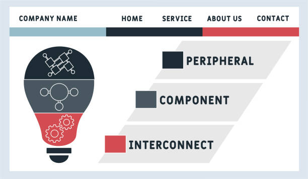 illustrazioni stock, clip art, cartoni animati e icone di tendenza di pci - peripheral component interconnect acronimo - computer peripheral illustrations