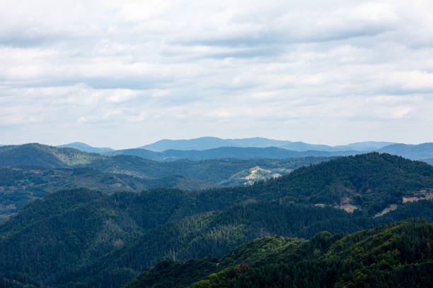 istock View to mountain and forest with cloudy sky 1346297717
