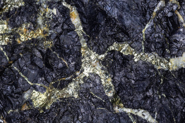 Golden Iron Pyrite in bed of black lead ore. Golden Iron Pyrite (Fool's Gold), creating a veined pattern in a sample of black galena (lead ore.) From Chlorite, Arizona. lead mine stock pictures, royalty-free photos & images