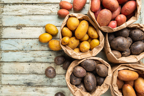 Various varieties of new potatoes Various varieties of new raw colorful, white, red and purple potatoes in paper bags on white wooden background, top view starch grain stock pictures, royalty-free photos & images