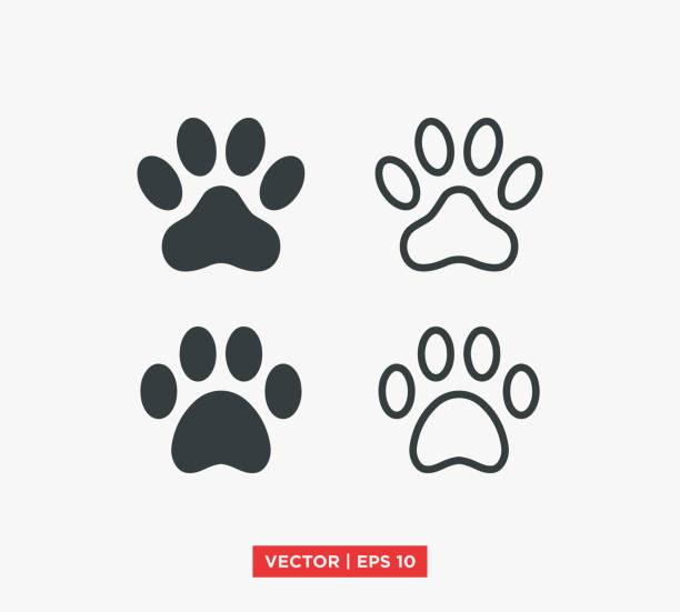 illustrations, cliparts, dessins animés et icônes de paw icon vector illustration design modifiable redimensionnable eps 10 - fluffy bear cute friendship