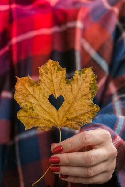 istock Stylish red female nails. Fall leaf with hole in heart shape in hands. Modern Beautiful manicure. Autumn nail design concept of beauty treatment. Gel nails. Skin care 1346303110