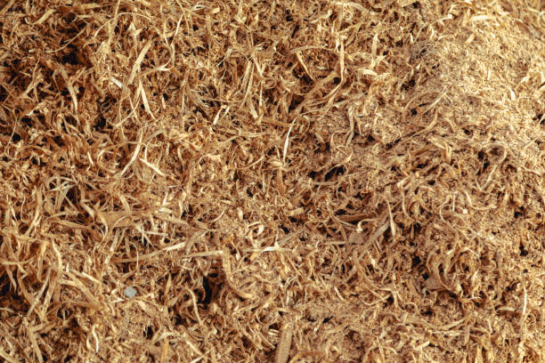 istock Sawdust texture for background. Wood production 1346304170