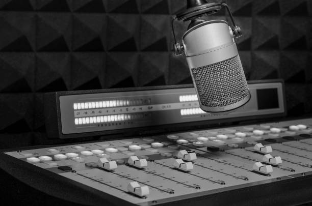 Professional microphone and sound mixer