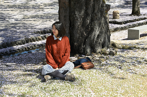 Young Asian Woman Resting Under Blooming Sakura / Cherry Tree in a Sunny Day.