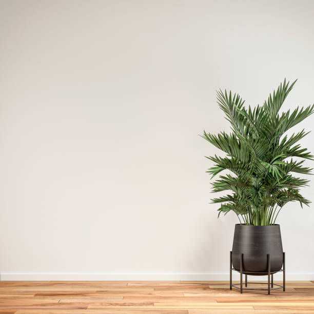 istock Empty unfurnished interior with ruined wall background and potted plant 1346306045
