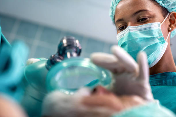 anesthesiologist doctor anesthetized a surgical patient in hospital. - respiratory system imagens e fotografias de stock