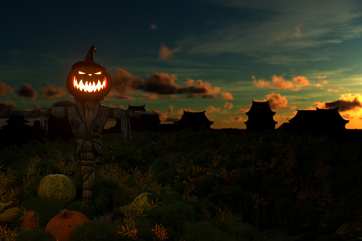 Halloween pumpkin backgrounds