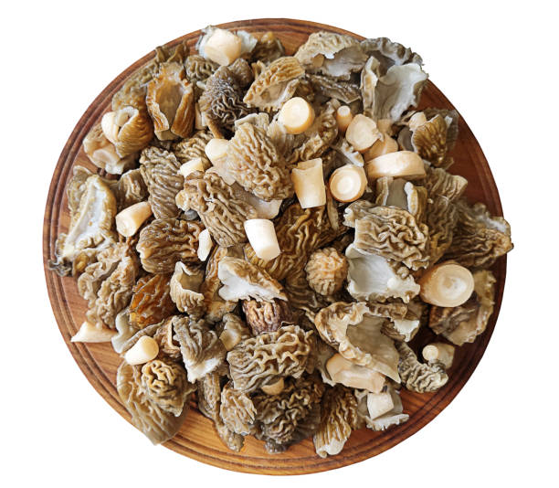 istock Lots of spring mushrooms on a plate 1346309749