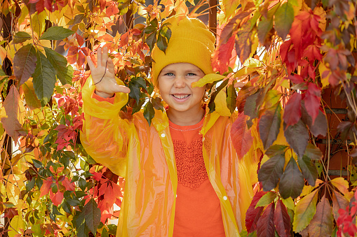 portrait of little girl 5 years old in yellow hat and raincoat among autumn leaf