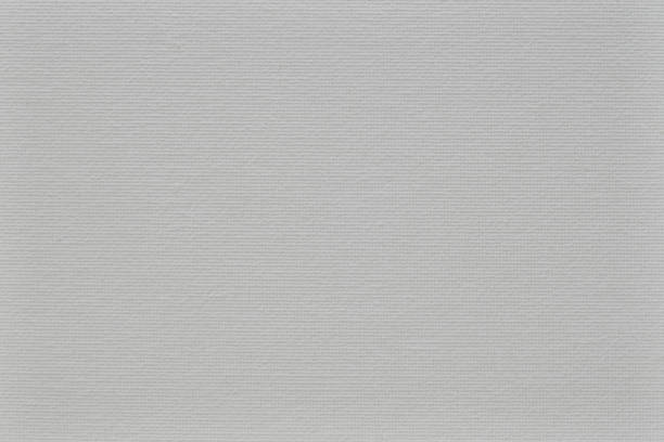 istock Painting canvas. A uniform white and gray background with a pronounced texture. 1346313310