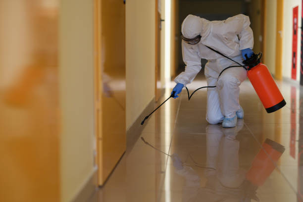 istock Specialist in protective suit and mask disinfects corridors closeup 1346313644